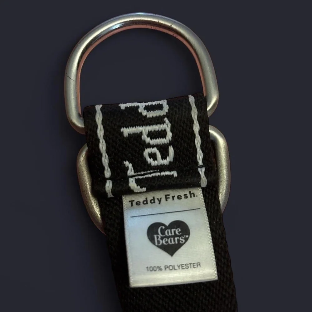 Teddy Fresh x Care Bears Collection (2021) - Canvas Belt - Picture 5 of 5